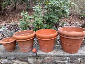 Lot Of  Roll Rimmed Terracotta Planters In Graduating Sizes