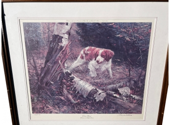 Limited Edition Robert Abbott Lithograph 'Down Wind' Brittany And Ruffed Grouse