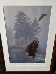 Framed Print Bald Eagles Fishing