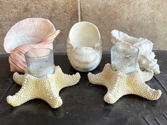 Sea Shell Decor