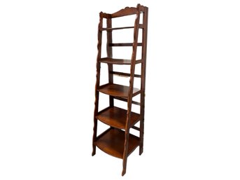 Ascending Ladder Shelf