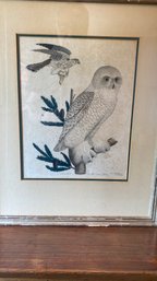 Vintage Framed Engraving Snow Owl & Sparrow Hawk