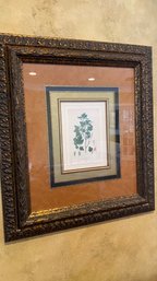 A Professionally Frame Botanical Print (retail $325.) 27' X 30'