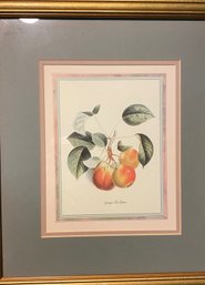 Professionally Framed  Vintage Groupe De Poires Print 15' X 16'