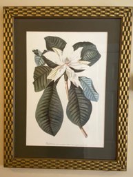 A Framed Botanical Print - Magnolia