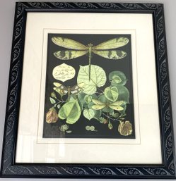 A Whimsical Dragonfly On Black Art Print Made In USA