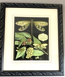 A Whimsical Dragonfly On Black Art Print  Made In USA