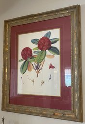 Home Decor Large Size Of Framed Vintage Botanical Print - 34' X 41'