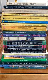 A Group Of 15 Plus Children's Books