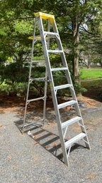 A WERNER Job Master 8 Foot Ladder