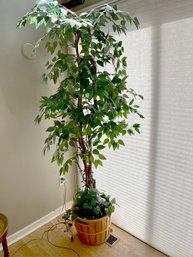 Artificial Ficus Tree With Christmas Lights