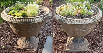 Pair Of Cast Stone Garden Planters With Live Plants