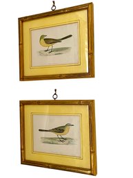 Pair Of Vintage Birds Prints.