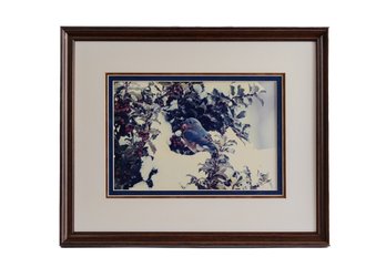 PHOTOGRAPHY ARTIST DAVID MCCARTNEY 'BLUEBIRD IN THE HOLLY BERRIES'