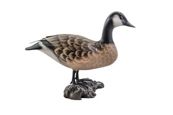 HAND CARVED WOOD CANADIAN GOOSE PERCHED ON A TREE LIMB