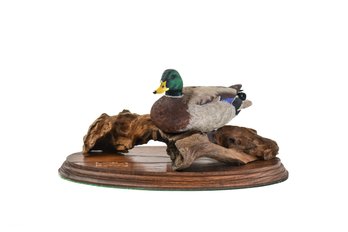 HAND CARVED WOOD DUCK ON WOOD BASE