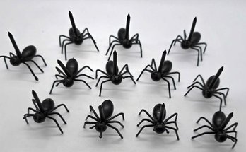 12 Black Ant Toothpicks