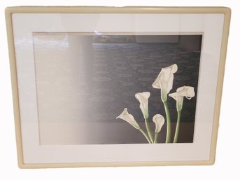 Beautiful Framed Vintage Lithograph By Artist Jochen Labriola, White Calla Lillies