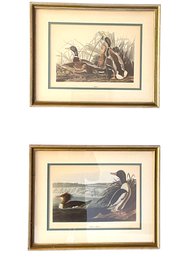Pair Of Matching Framed Ducks Prints. (#22 , Yellow Guest BR)