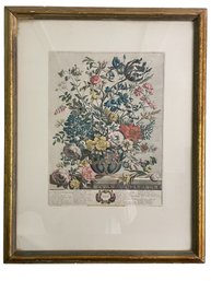 Framed Vintage/antique Floral Print.