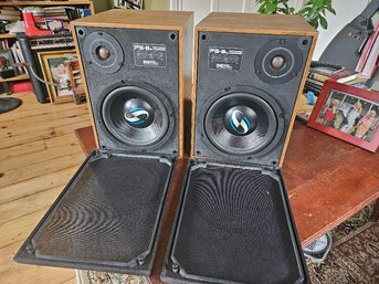 129: Vintage Design Acoustics (DA) PS8b Loudspeakers Are MINT And Sound Amazing!