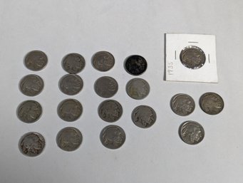 Indian Head Nickel Lot