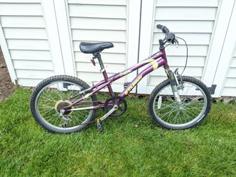 Girls Murray Destiny Seven Speed Mountain Bike