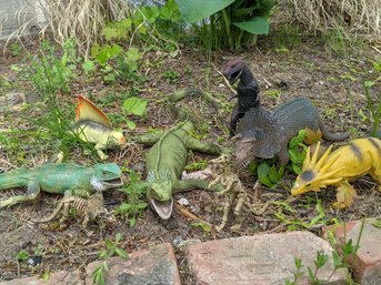 Collection Of Eight Plastic Dinosaurs And Lizards