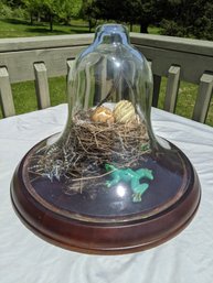 Glass Cloche Vignette Of A Birds Nest With A Dried Out Snake On A  Wood Stand