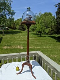 Glass Cloche Vignette Of A Cast Iron Rabbit On A Wood Stand