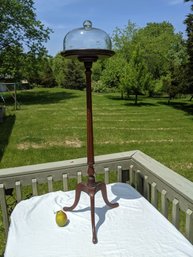 Glass Cloche On A Vintage Wood Stand