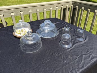Collection Of Six Bell Jar Cloches