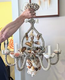 Vintage Natural Seashells Encrusted Chandelier