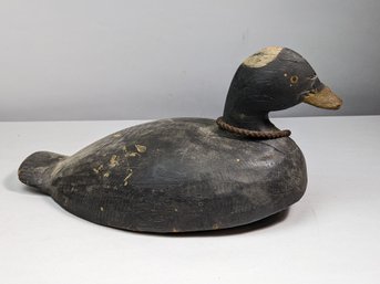 Duck Decoy