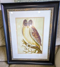 Vintage Beautiful Large Owl Print