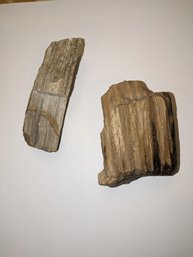 Lot Of 2 Petrified Wood Pieces