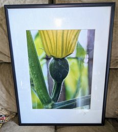 Framed & Signed Photograph By Local Artist Jiri Minarik - Titled 'The Promise'