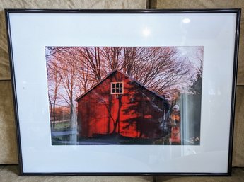 Framed & Signed Photograph By Local Artist Jiri Minarik Titled 'Dino'.