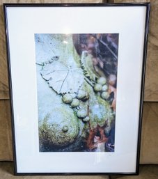 Framed & Signed Photograph By Local Artist Jiri Minarik Titled 'Maenad'