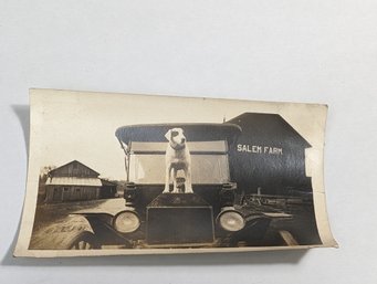 Farm Dog On Top Of Early Ford