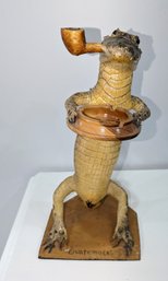 Taxidermy Alligator From Guatemala With His Pipe