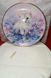 1990's  Danbury Mint, Wedgwood, The Joy Of Kittens Cat Collector Plate By Kayomi - ' Little Blossom'