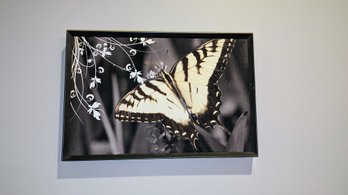 Butterfly Picture On Canvas