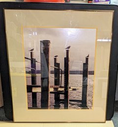 Framed, Matted & Signed Photograph 'Birds Perch'  Taken & Signed By Wolfgang Dietz