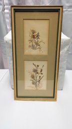 Antique Double Frame Botanical Picture Painted & Real Botanical Details