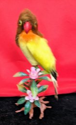 Cute Parrot On Plastic Stand