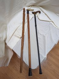 Collection Of Three Walking Sticks