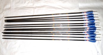 12 Blackhawk Vapor Pro Series 4000 Arrows