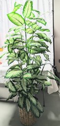 Beautiful Large Artificial Dieffenbachia Plant In Wicker Basket