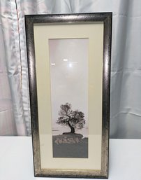 Celadon - Framed And Matted, Coast Oak Tree Print